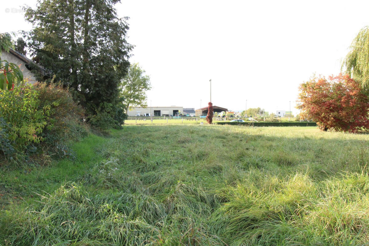 Terrain à SILLEGNY