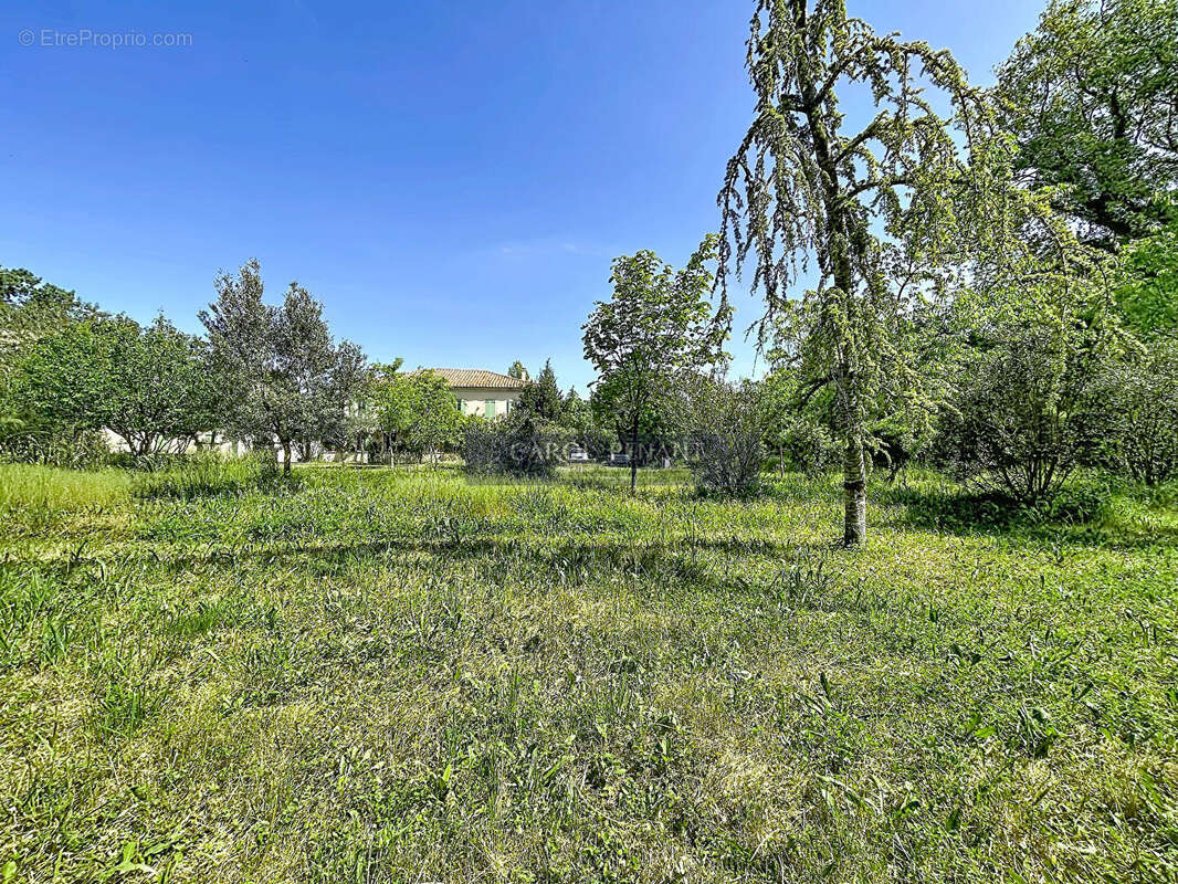 Terrain à LE PONTET