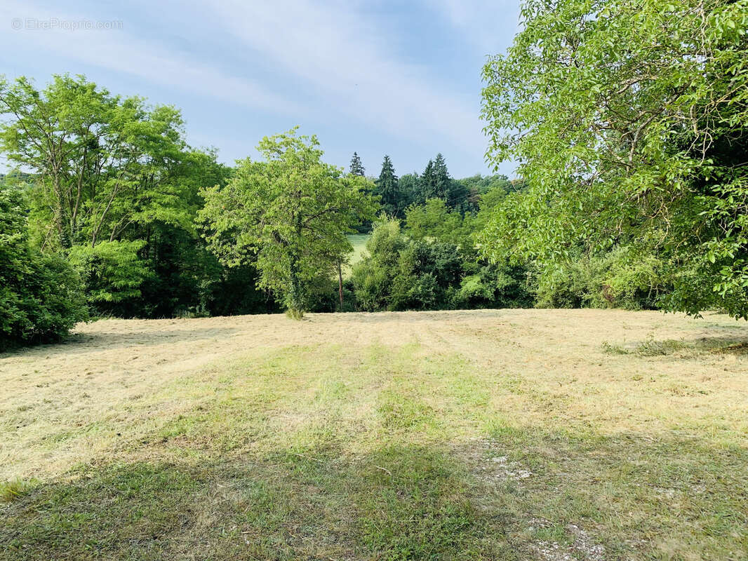 CHEROY Terrain constructible de  3400 m2 - photo 2