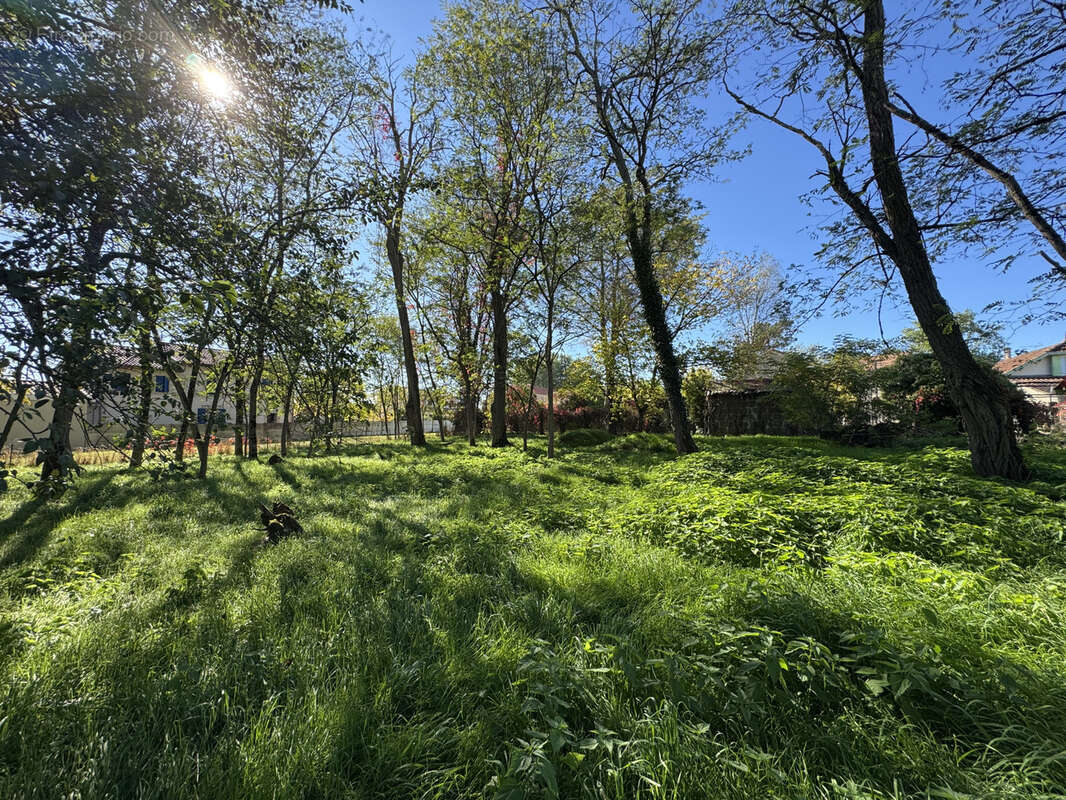 Terrain à SAINT-YZAN-DE-SOUDIAC