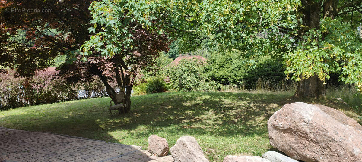 Charmante maison à Grandfontaine, quartier très ensoleillé sur les hauteurs, 135 m2, 10 ares de terrain. - photo 7