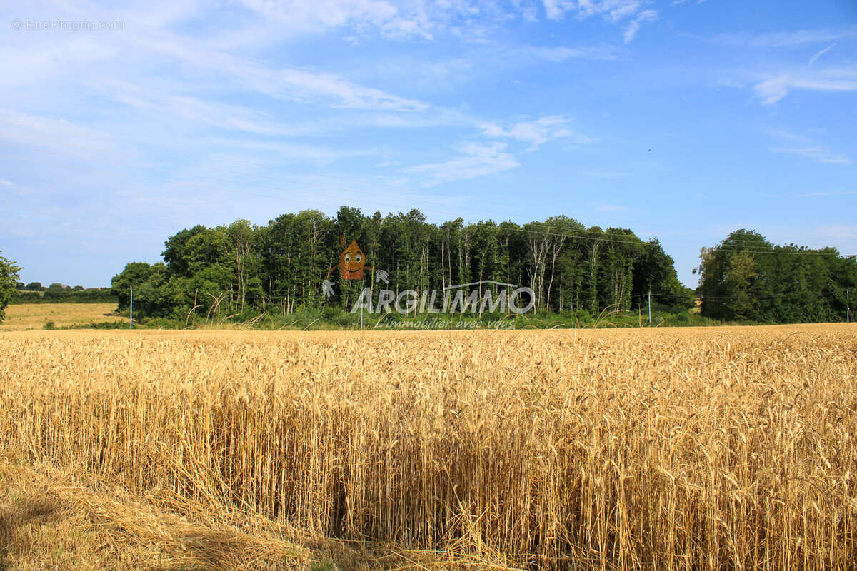 Superbe ancien corps de ferme sur 4ha12ca avec 1ha9 bois-taillis - photo 24