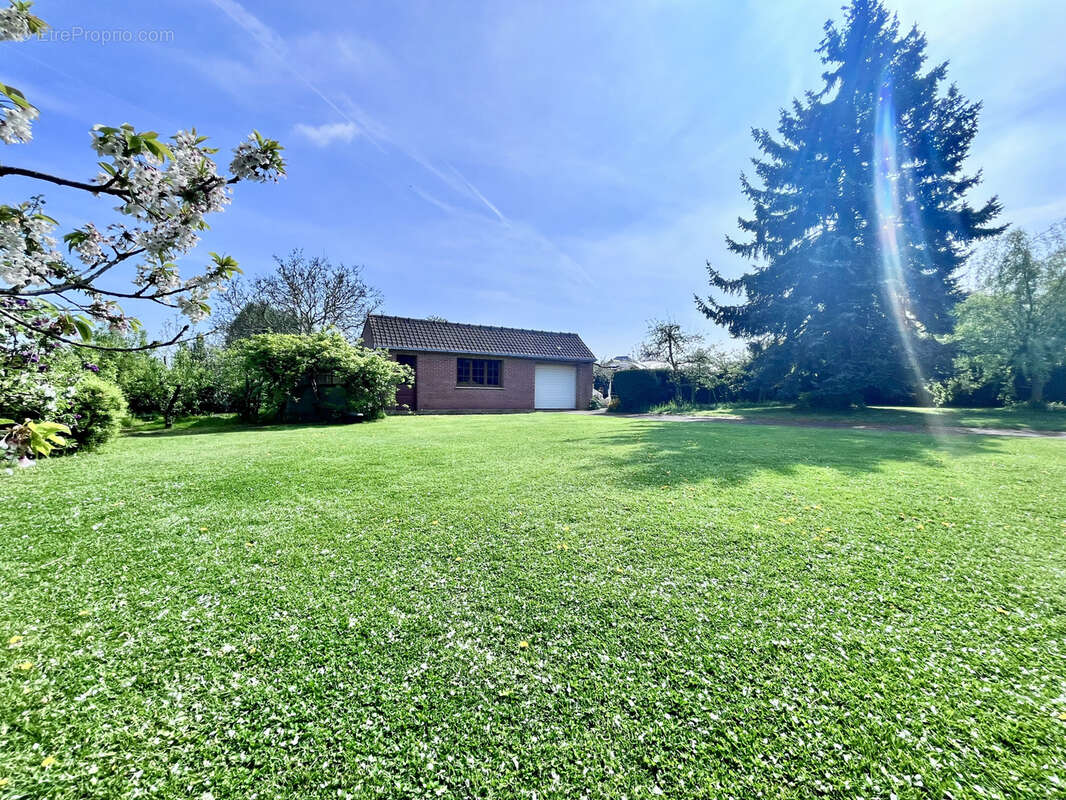 Maison à STEENVOORDE