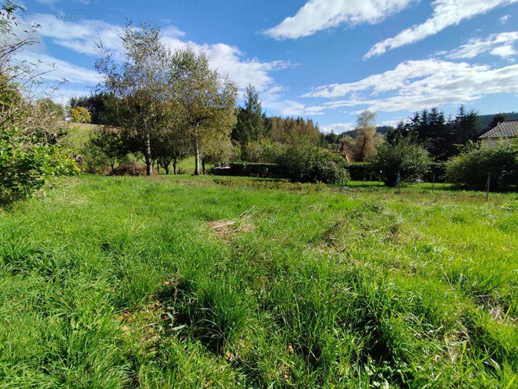 Terrain à LA SEAUVE-SUR-SEMENE