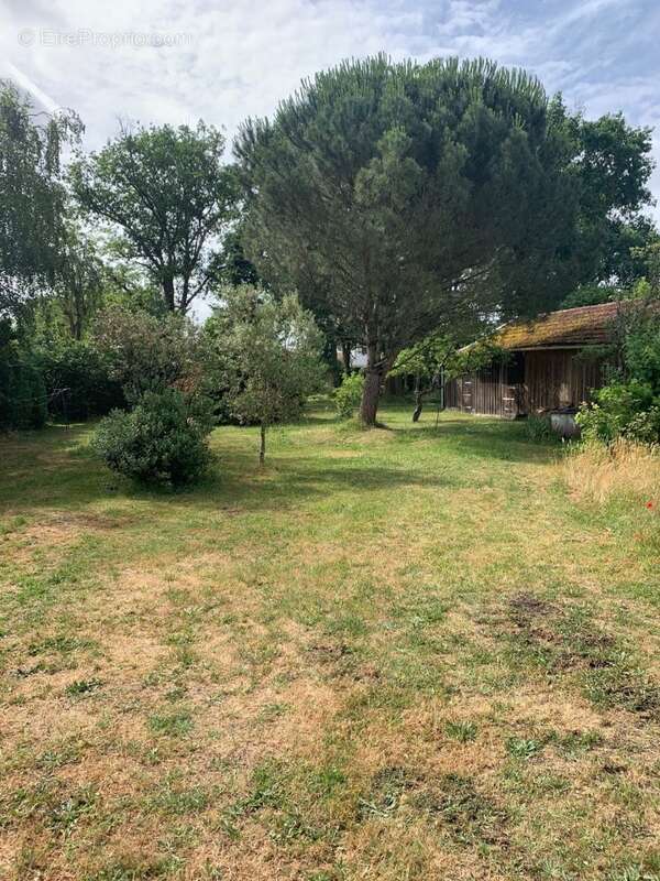 Terrain 556 m² à Castres-Gironde  - photo 3