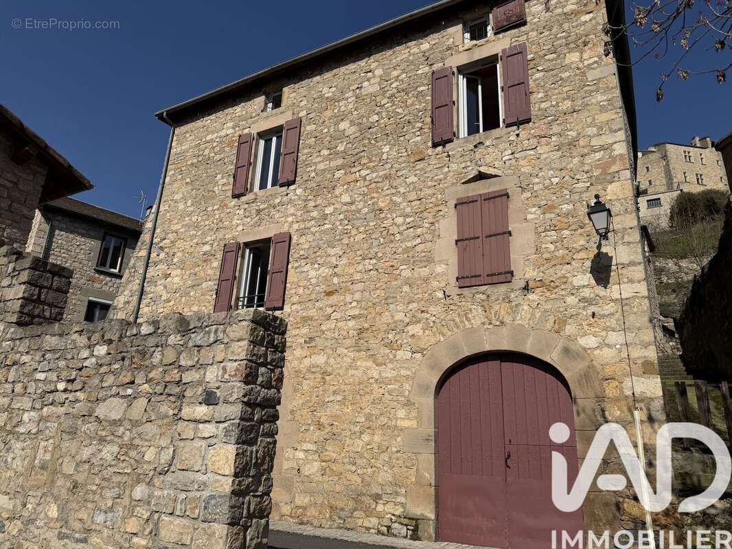 Maison 280 m² à Compeyre  - photo 2