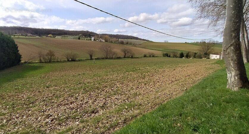 Terrain à LAUZERTE