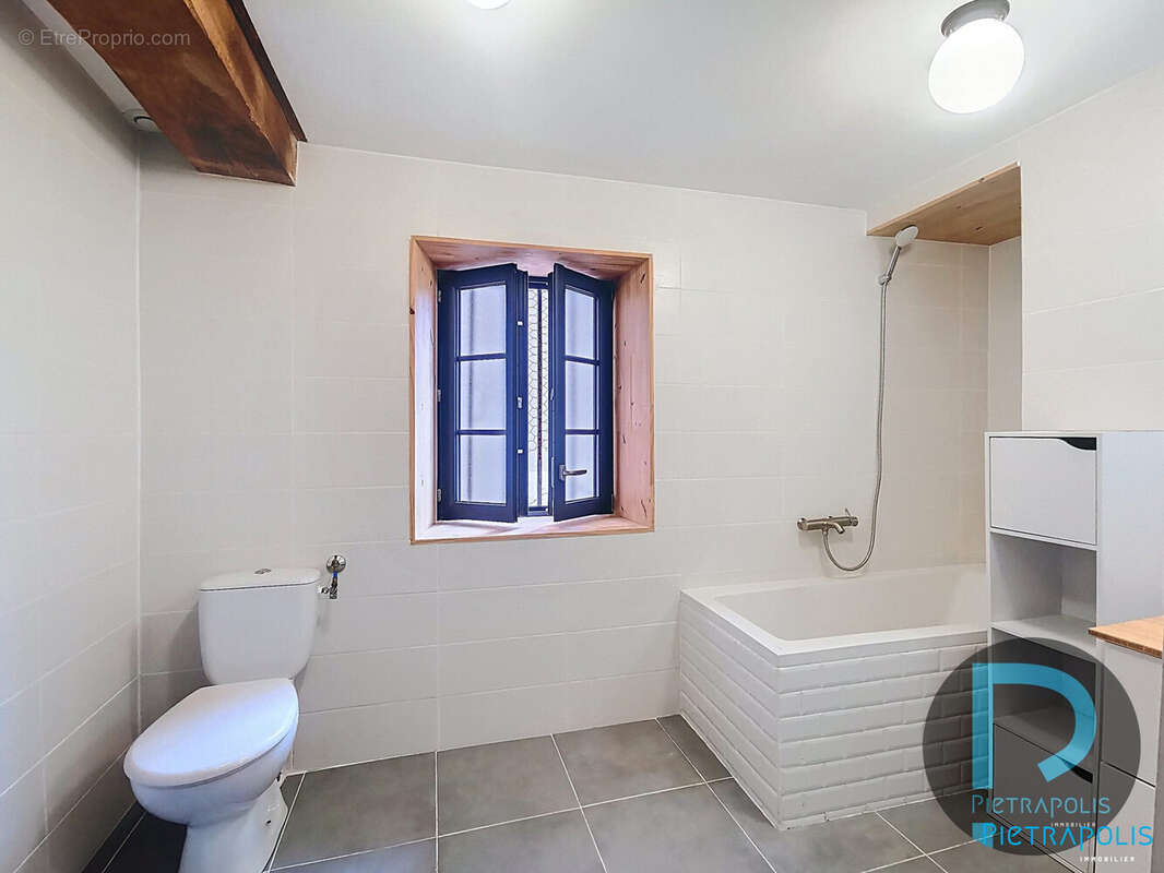 SDB RDC avec WC - Maison à PONT-DE-VEYLE