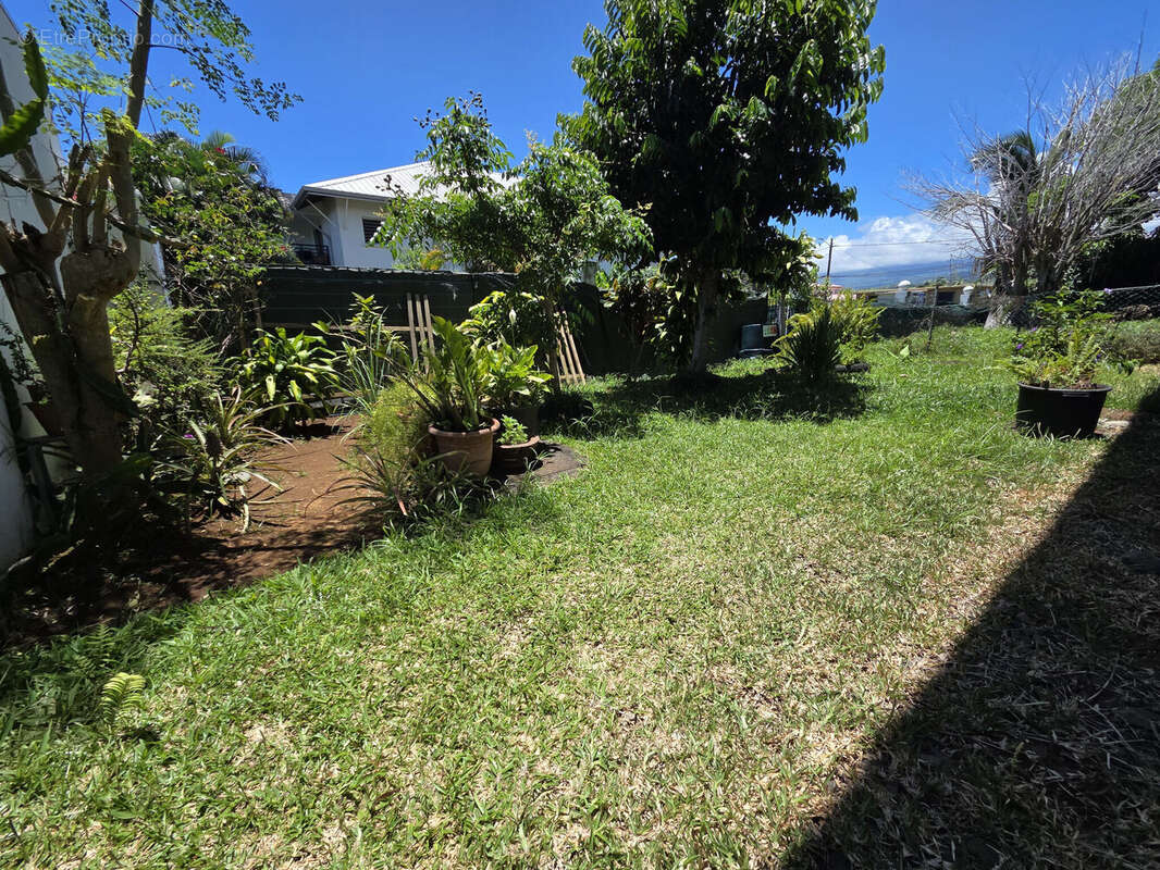 Photo 6 - Appartement à BRAS-PANON