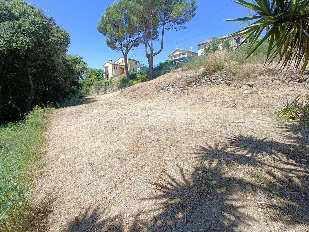 Terrain à PEGOMAS