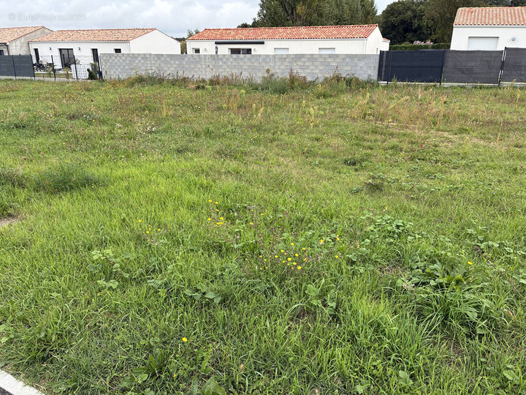 Terrain à SAINT-JUST-LUZAC