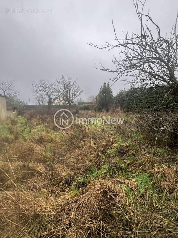 Maison plain pied 80 m2 sur terrain de 1603 m2 a renover - photo 9
