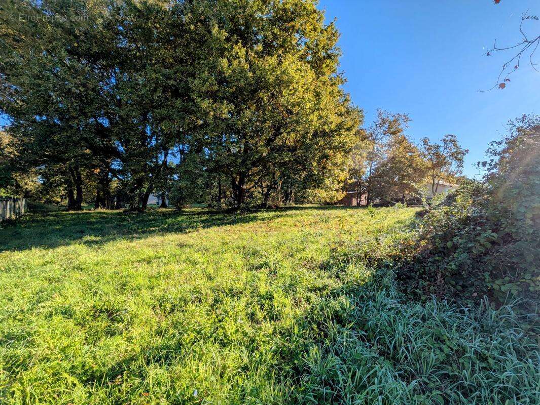Terrain à LESPARRE-MEDOC