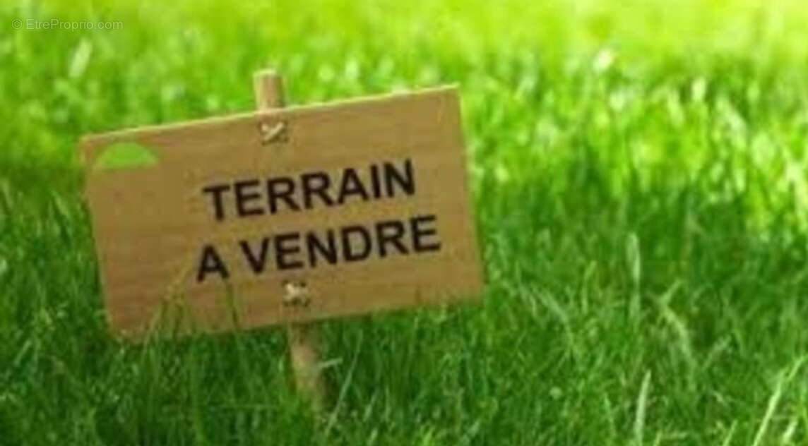 terrain constructible 8765 m² pour lotissement - photo 2