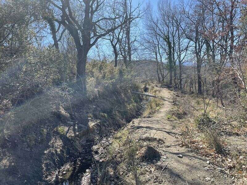 Terrain à MARQUIXANES