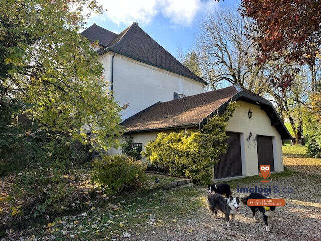 Maison à OYE-ET-PALLET