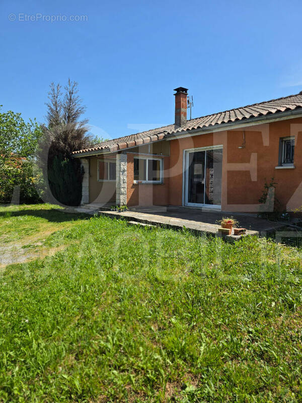 Maison à AIGUEFONDE