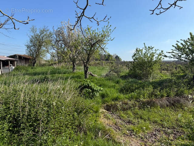 Maison à SAINT-THOMAS-DE-CONAC
