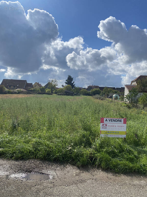 Terrain à STOTZHEIM