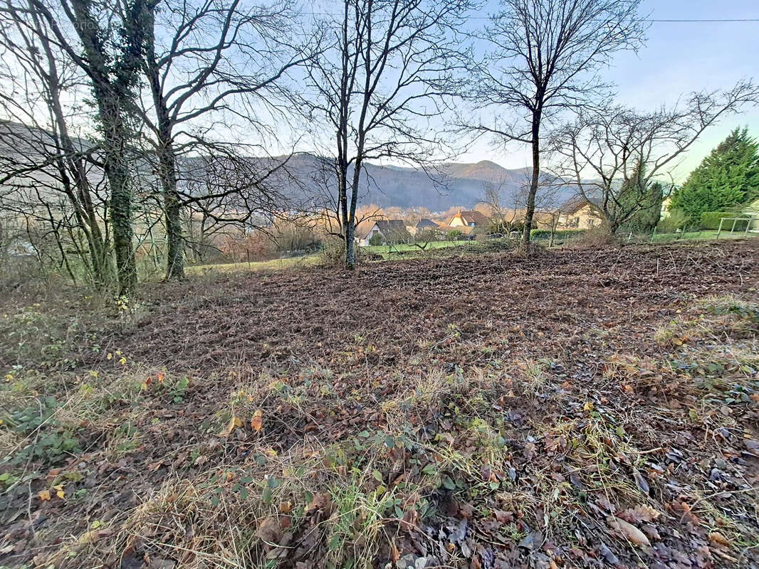 Terrain sur les hauteur de 19 ares, dont environ 10 constructibles - photo 2