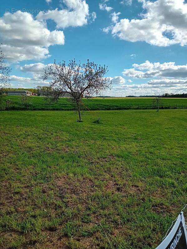 Terrain à GROSSOEUVRE