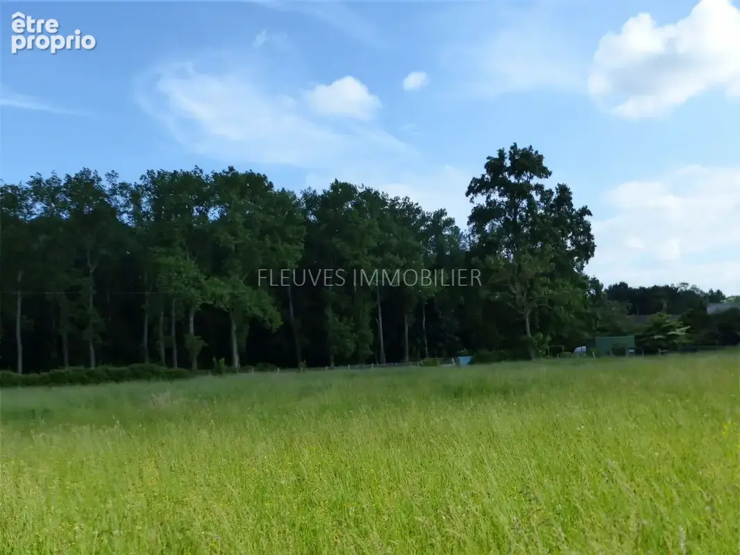 Terrain 1518 m² à Araux  - photo 2