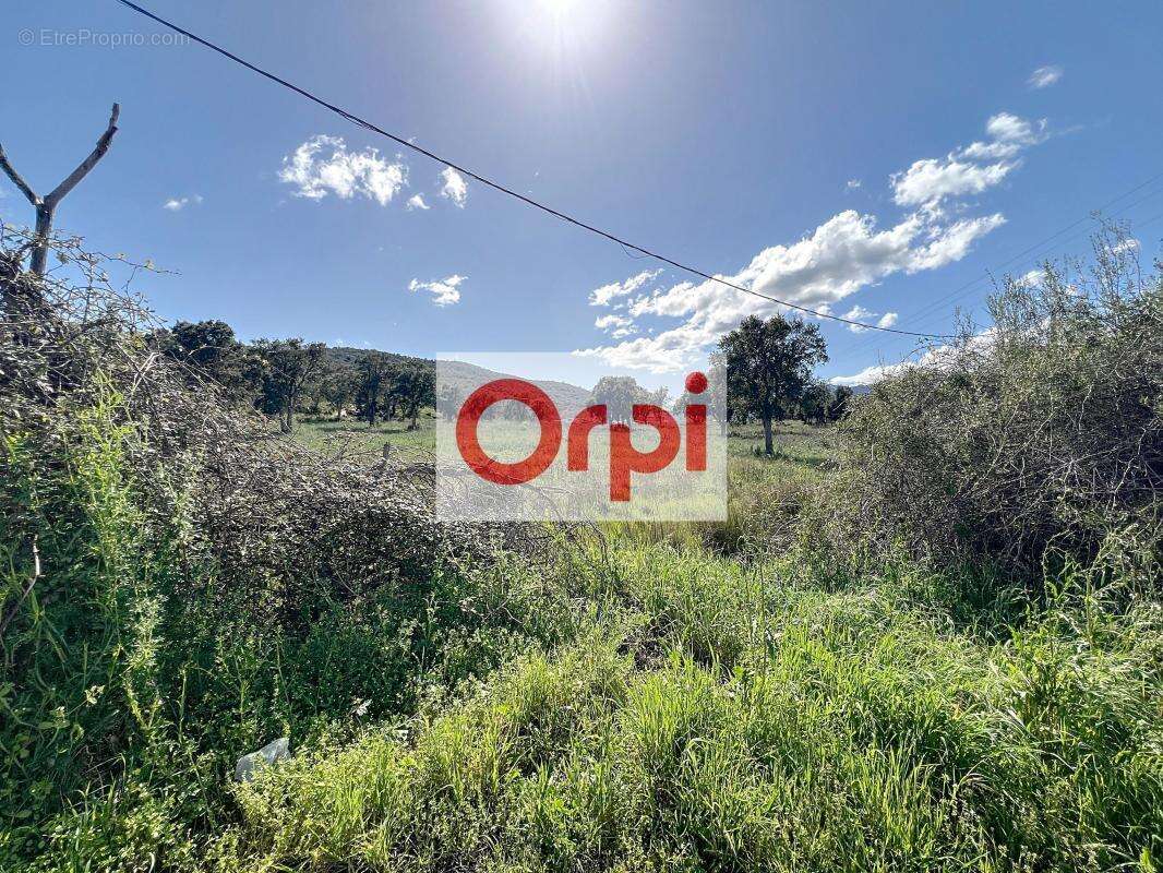 Terrain à PORTO-VECCHIO