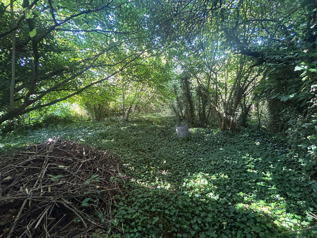 Autre à MONNERVILLE