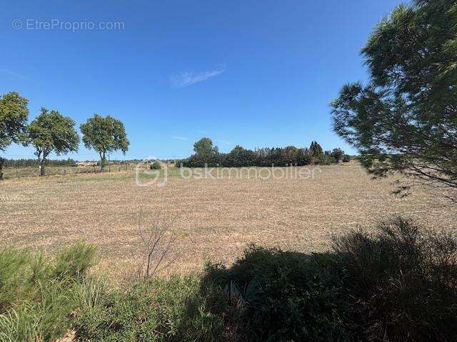 Appartement à CLAIRA