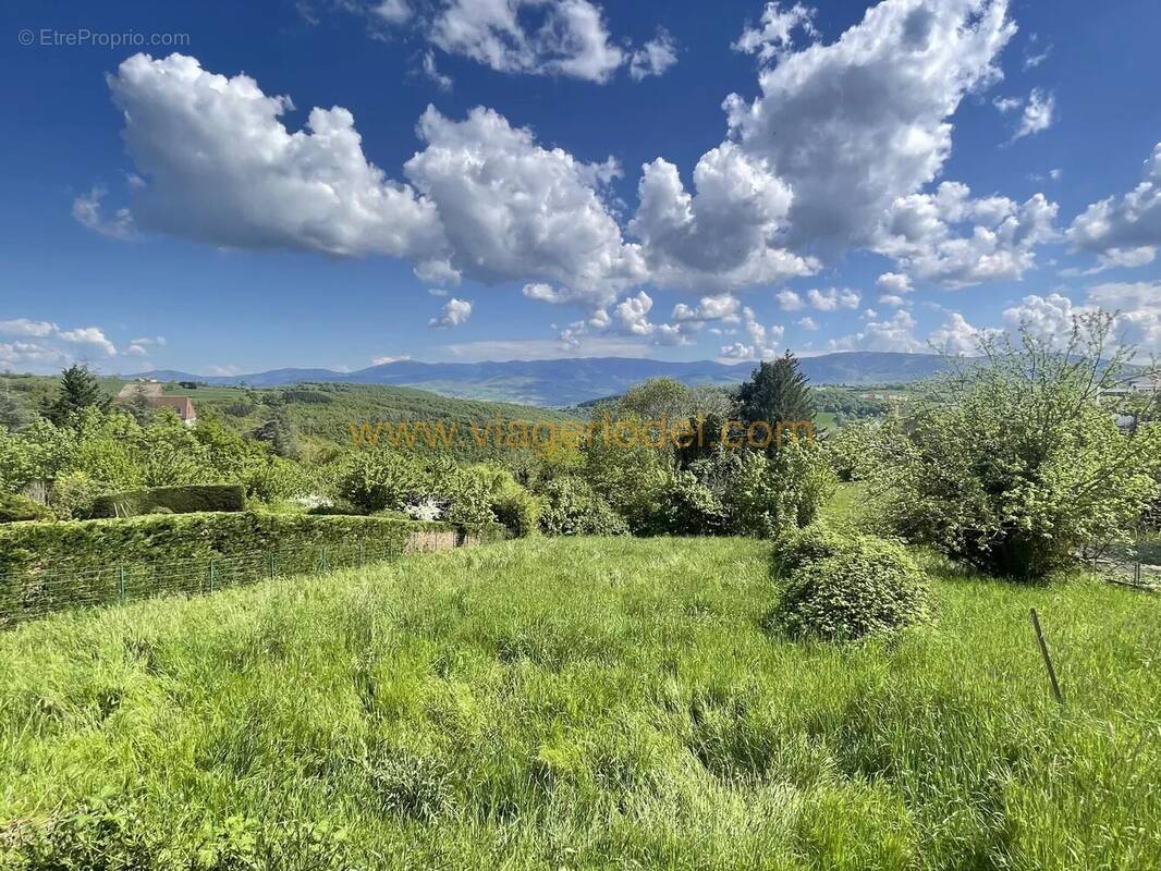 Terrain à SORBIERS