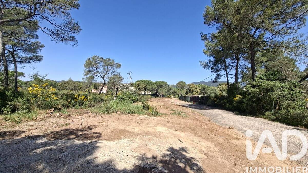 Photo 1 - Terrain à LE CANNET-DES-MAURES