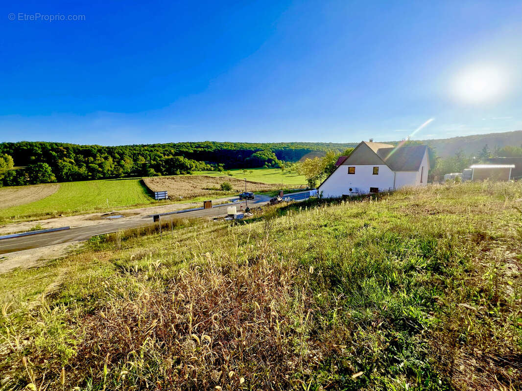 Terrain à ROSENWILLER