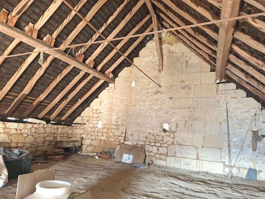 LERNÉ (37500) : Ensembles de Bâtisses à rénover (315 m2) - photo 14