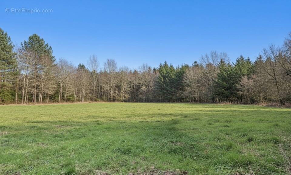 Terrain à LEGE-CAP-FERRET