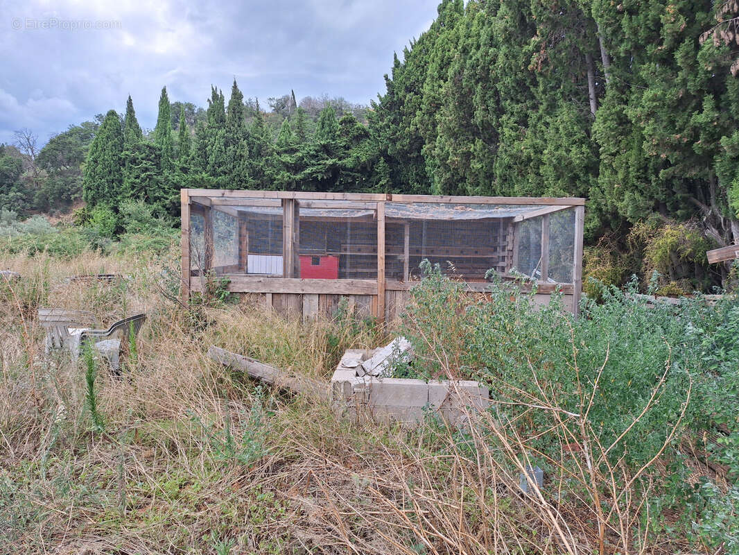Terrain à ILLE-SUR-TET
