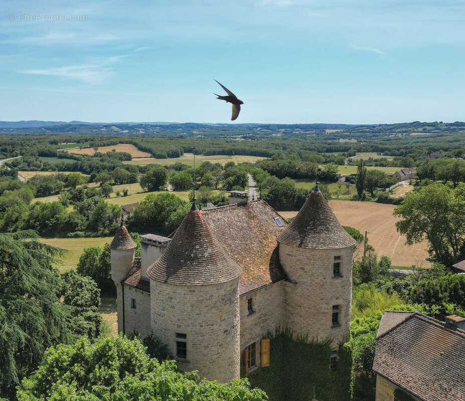 Château historique de 1501 avec vue panoramique et commodités à pied - photo 15