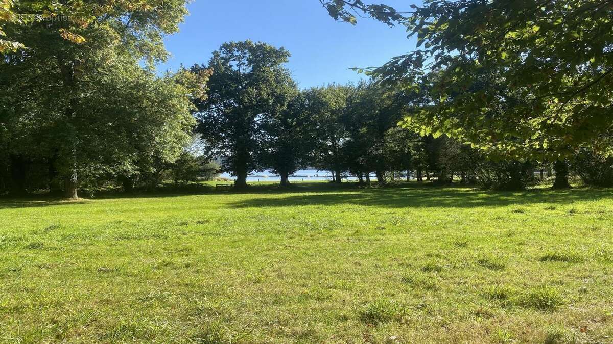 Terrain  830 m2 PLOERMEL - photo 3