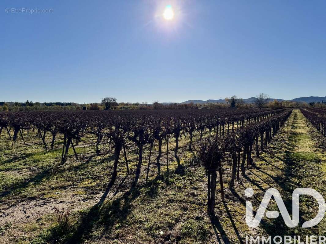 Photo 3 - Terrain à LAUDUN-L'ARDOISE
