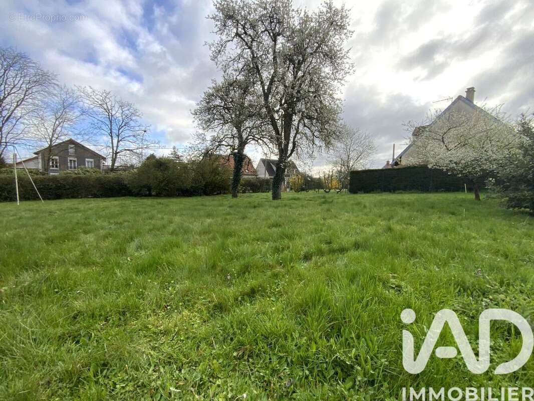 Photo 3 - Terrain à LES GRANGES-LE-ROI