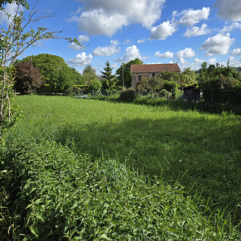 Terrain à TANTONVILLE