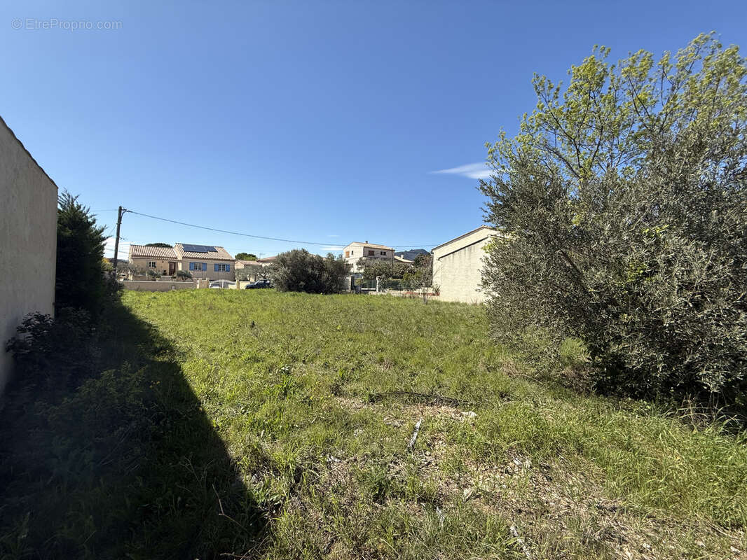 Terrain à MONTPEYROUX