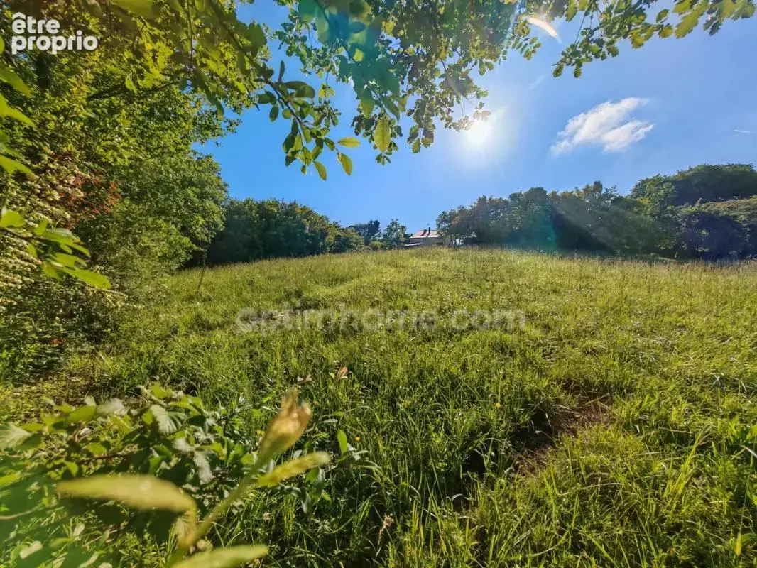 BAISSE DE PRIX !! Terrain constructible de 1 650m² situé à EAUZE (32) - photo 3