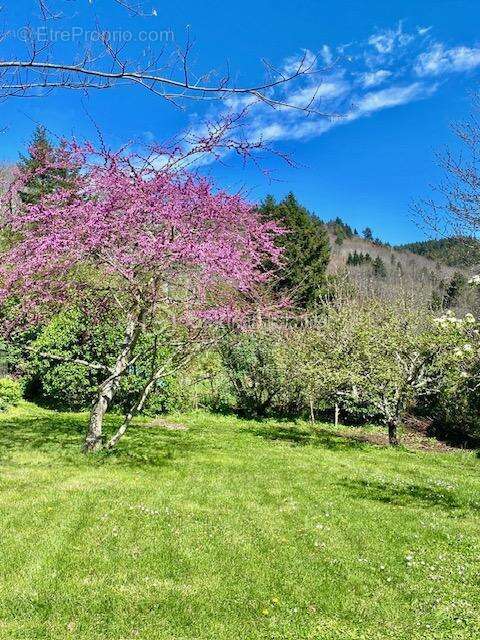 Jolie maison de village de 105 m² avec grand jardin de 830 m² sans vis à vis et vue montagne - photo 17