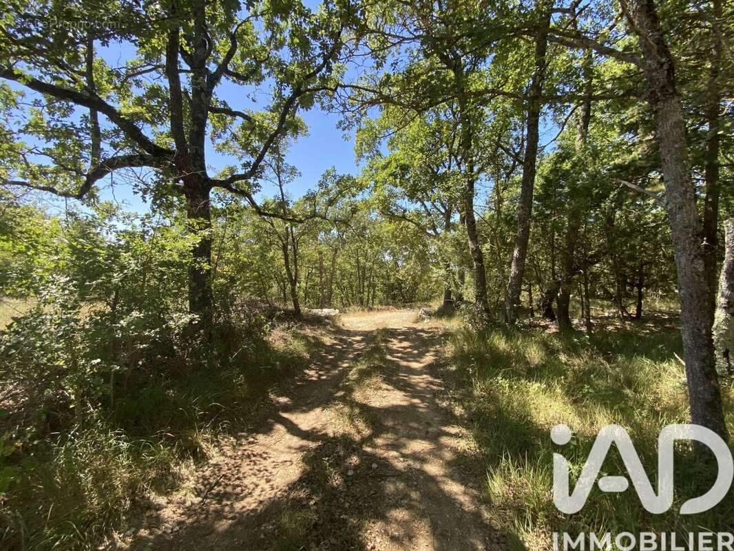 Photo 3 - Terrain à SAINT-VALLIER-DE-THIEY