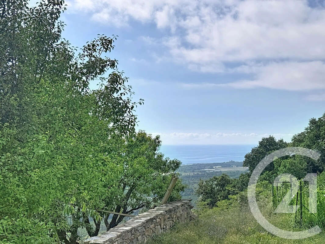Maison 45 m² à San-Nicolao  - photo 16