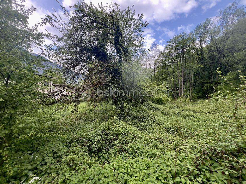 Terrain à LES CHAVANNES-EN-MAURIENNE