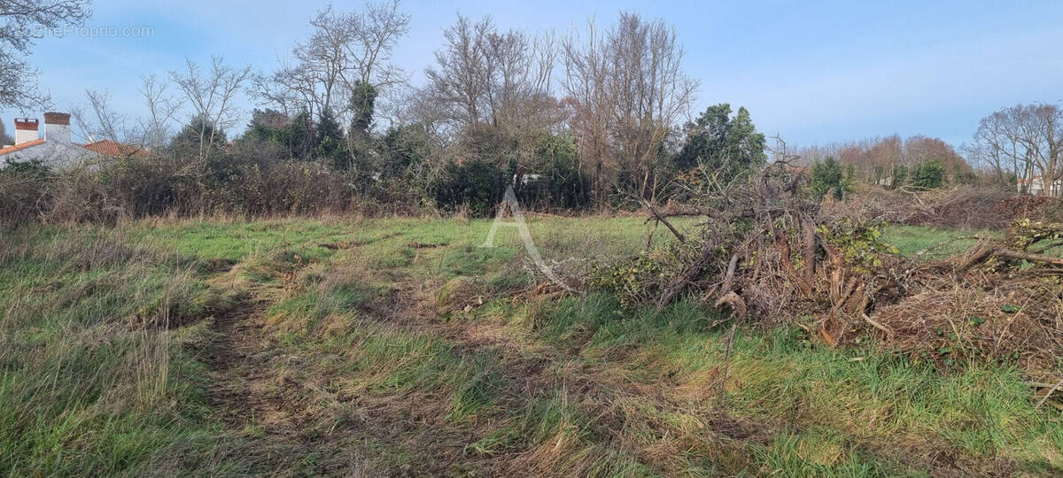 Terrain à LE FENOUILLER