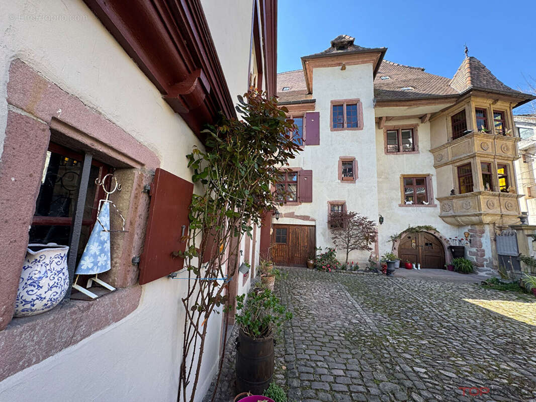 Maison à RIBEAUVILLE