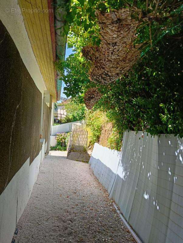 Maison en Pierres rénovée, 3 Chambres, garage, jardin, terrasses - photo 8