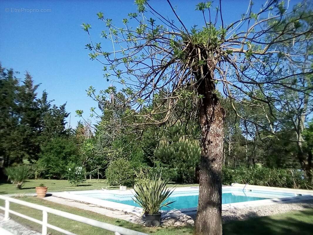 MAISON LANDAISE sur un parc arboré de 6200m2 avec sa piscine - photo 16